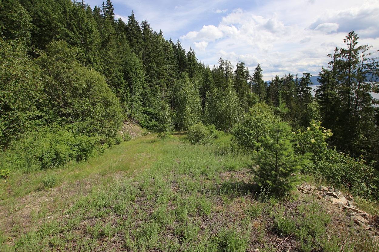 For sale 5959 HIGHWAY 23, Nakusp, British Columbia V0G1R1 2471622