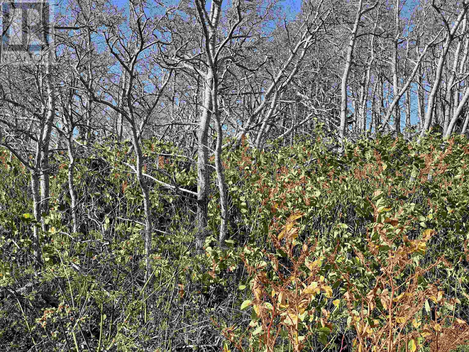 For sale 0 Chapel Cove Road, West L'ardoise, Nova Scotia B0E3B0