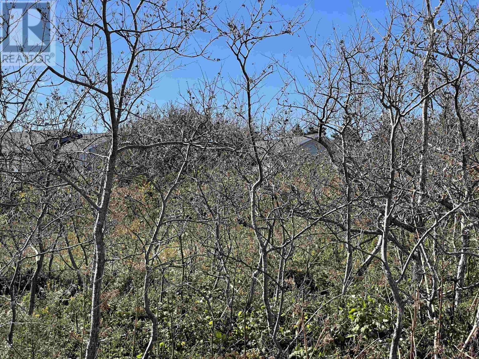 For sale 0 Chapel Cove Road, West L'ardoise, Nova Scotia B0E3B0