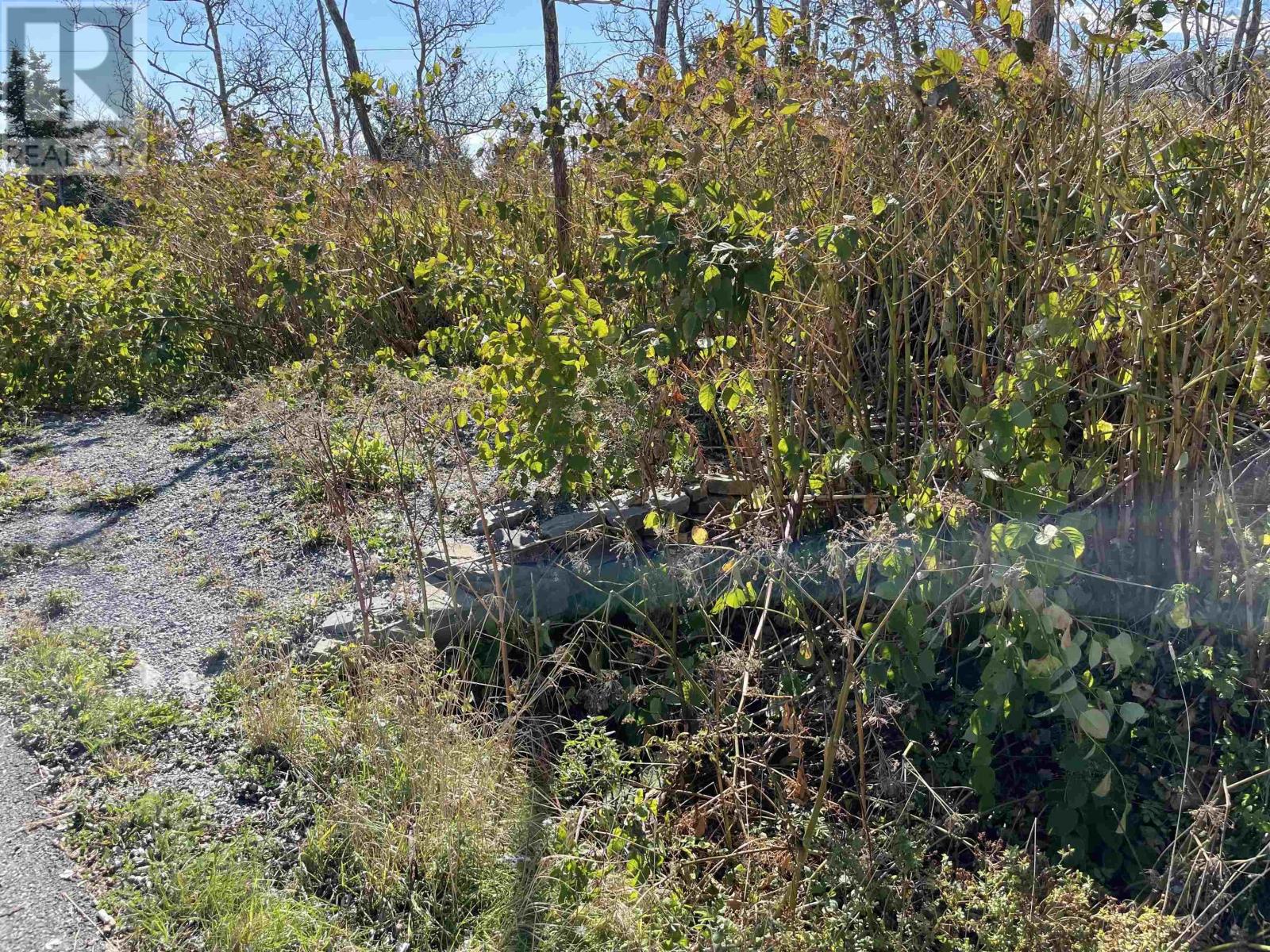 For sale 0 Chapel Cove Road, West L'ardoise, Nova Scotia B0E3B0