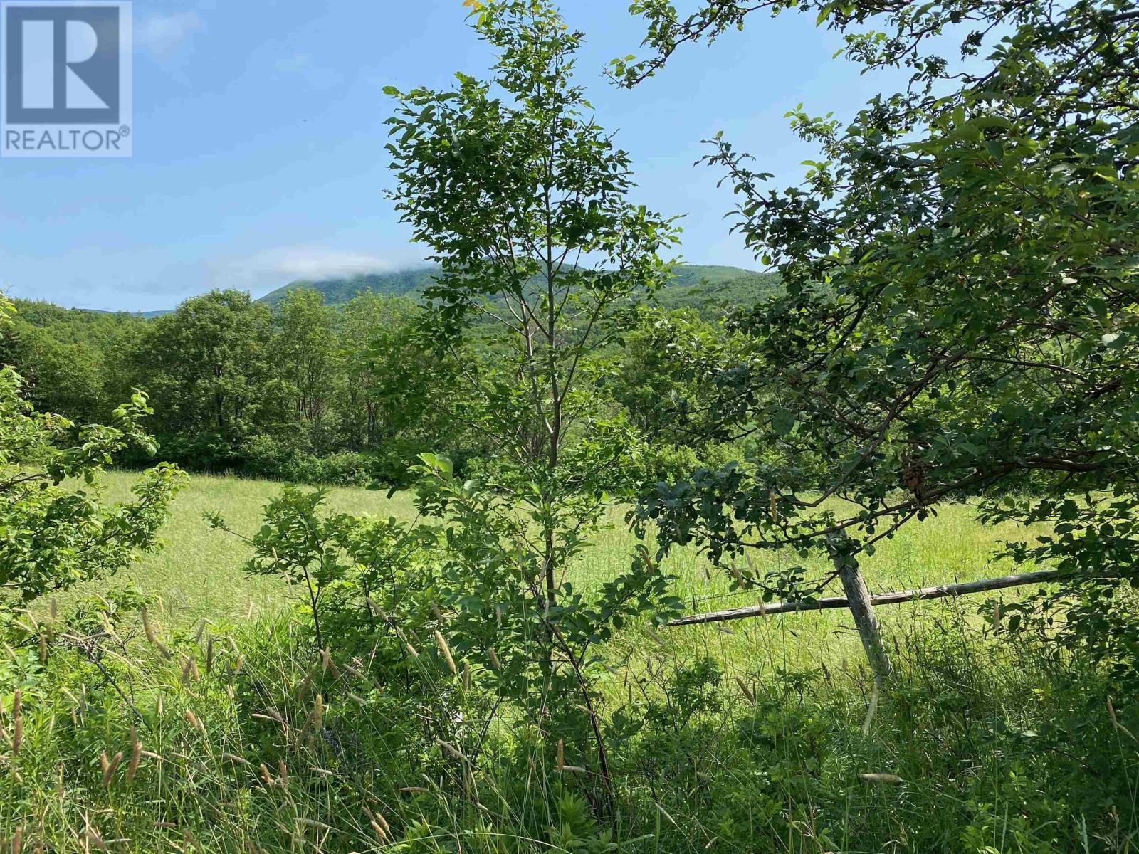 À vendre Bazile Road, St. Joseph du Moine, NouvelleÉcosse B0E1L0