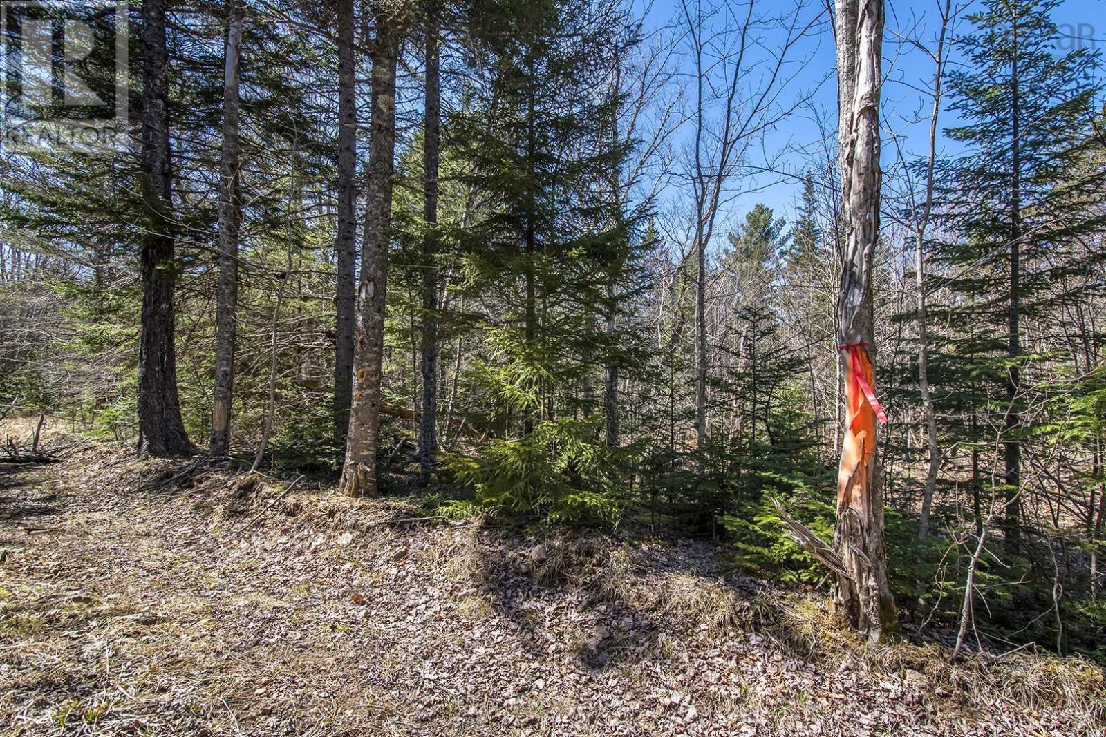 For sale Lot Shore Road West, Youngs Cove, Nova Scotia B0S1L0