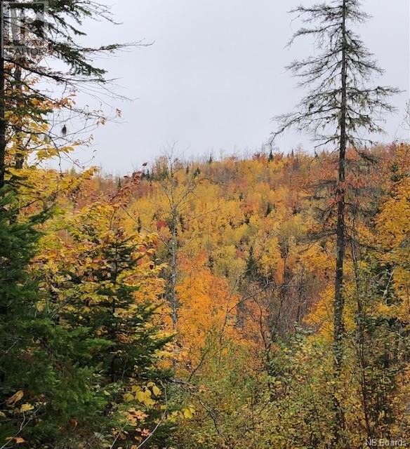 For sale Land Saint Maure, SaintMaure, New Brunswick E8E1M6 NB088539 REALTOR.ca