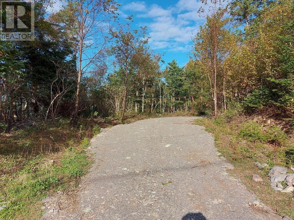 For sale 4 Highway, Irish Cove, Nova Scotia B0E3B0 202313257