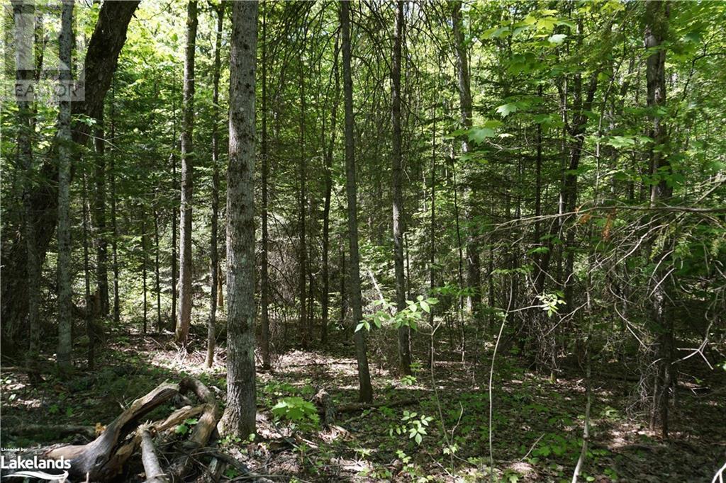 For sale LOT 3 FAIRY FALLS Road, Baysville, Ontario P0B1A0 40452570