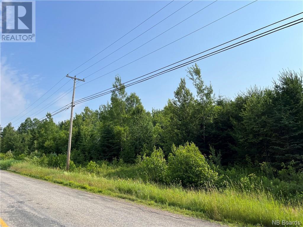 For sale 7 acres Rte 455, Fairisle, New Brunswick E9G2Y9 NB089149