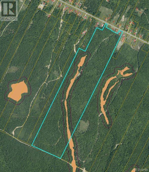 For sale 94.1 acres Rte 450, SaintWilfred, New Brunswick E9G2T9 NB089590 REALTOR.ca