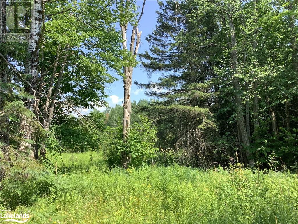 For sale 283 BELL Road, Golden Valley, Ontario P0H1N0 40449285