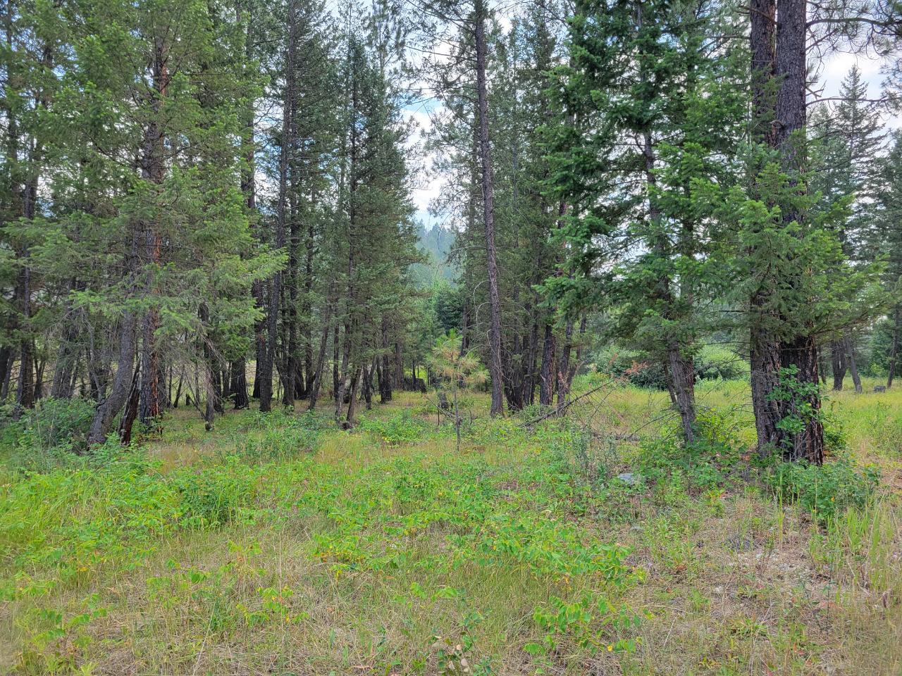 For sale Lot B GRASMEREDORR ROAD, Grasmere, British Columbia V0B1R0