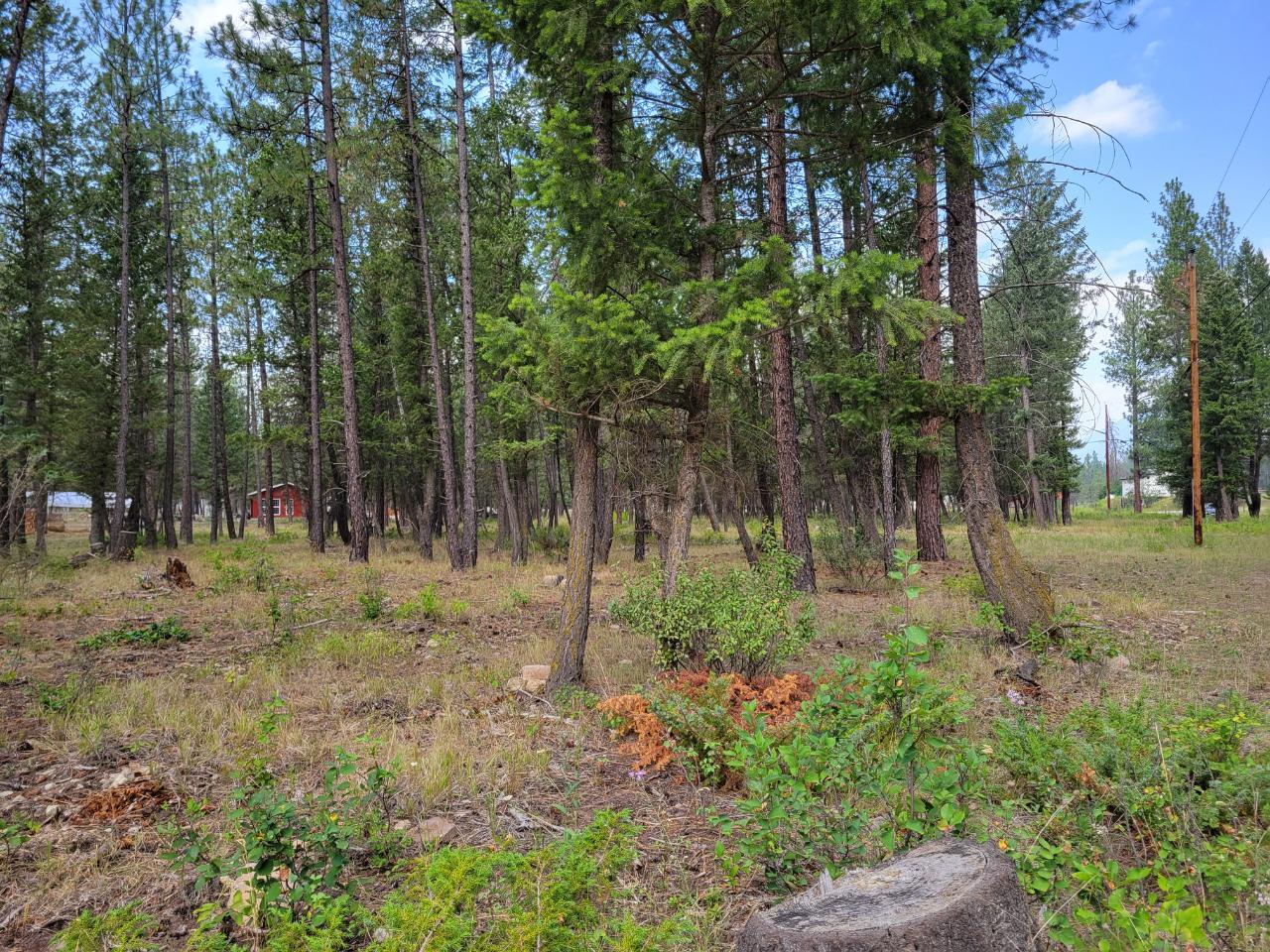 For sale Lot B GRASMEREDORR ROAD, Grasmere, British Columbia V0B1R0