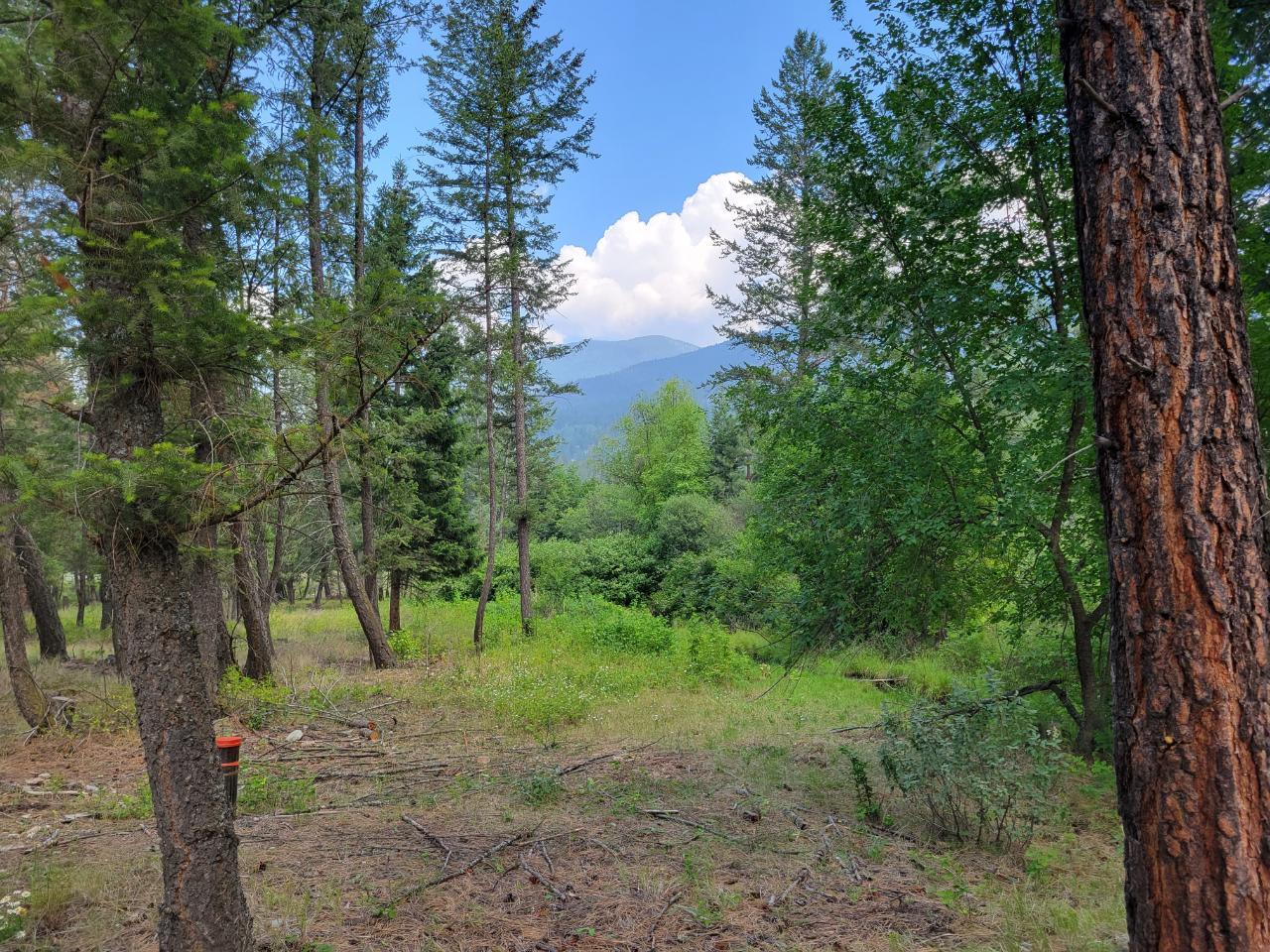 For sale Lot B GRASMEREDORR ROAD, Grasmere, British Columbia V0B1R0