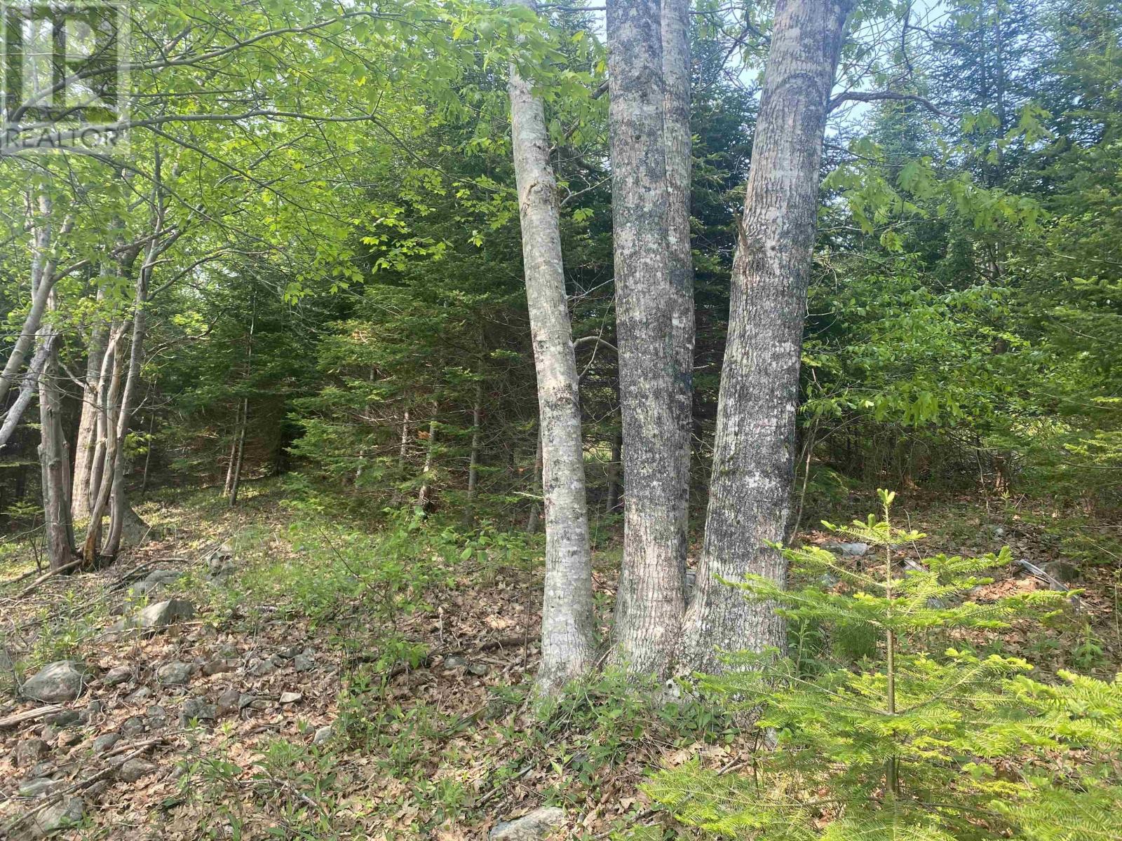 For sale Lot MKE3 235 Croft Road, Chester Basin, Nova Scotia B0J1K0
