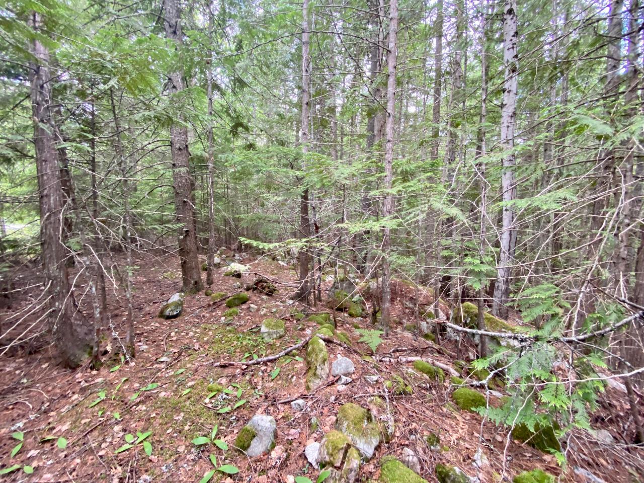 For sale: Lot 7 HIGHWAY 6, Slocan, British Columbia V0G2C0 - 2472283 ...