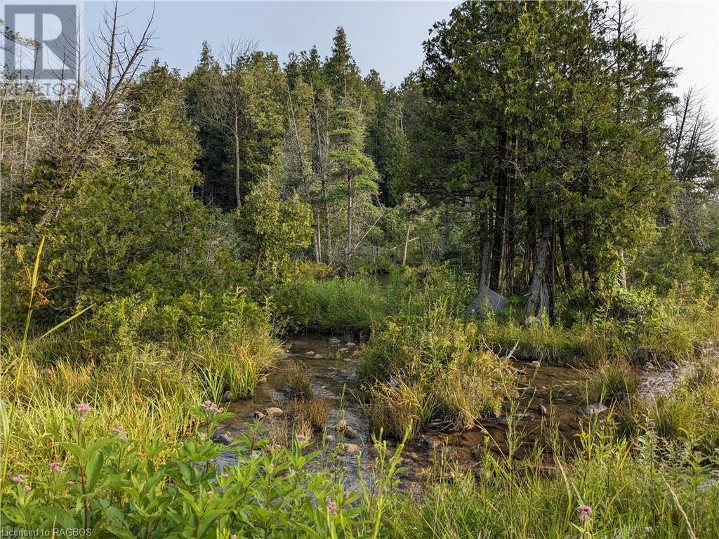 For sale 59 3RD Concession, West Grey, Ontario N0G1R0 40458044