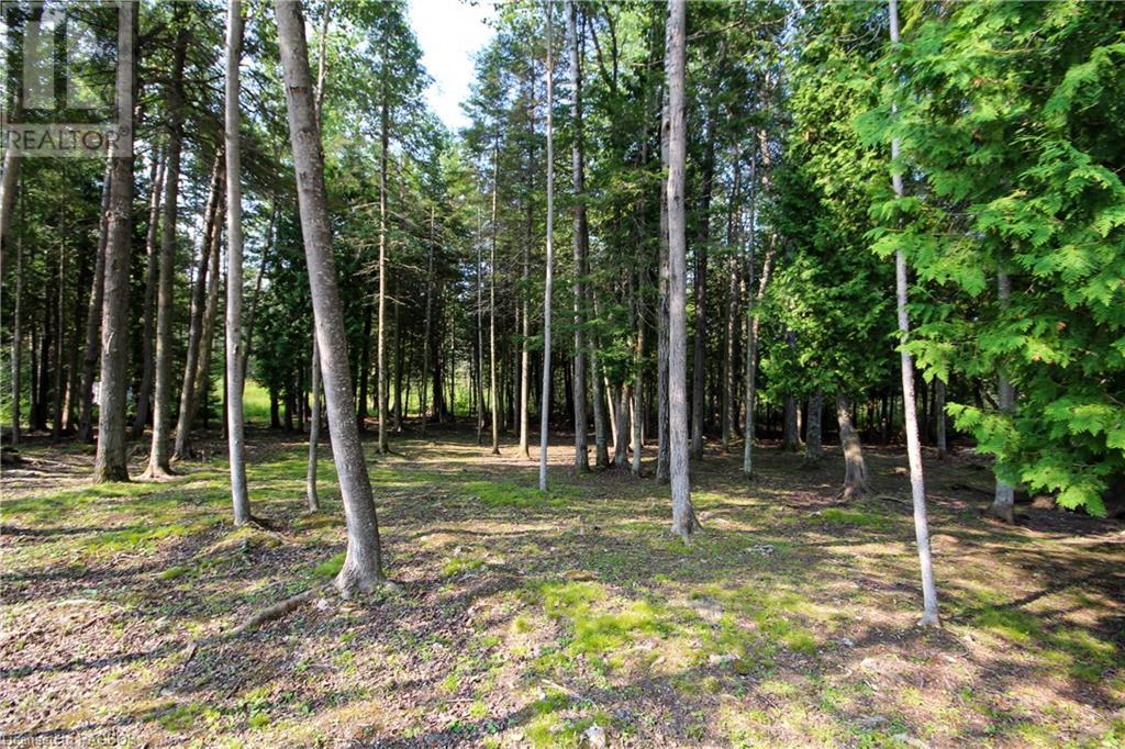 For sale 18 MURRAY Avenue, Stokes Bay, Ontario N0H1W0 40455021