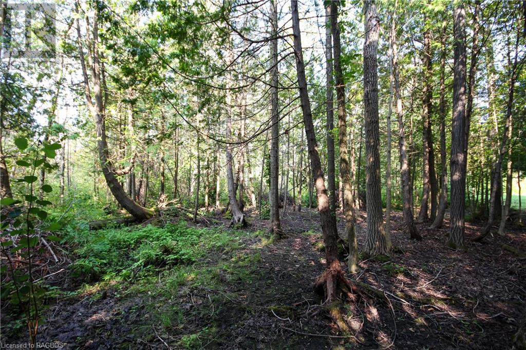 For sale 18 MURRAY Avenue, Stokes Bay, Ontario N0H1W0 40455021