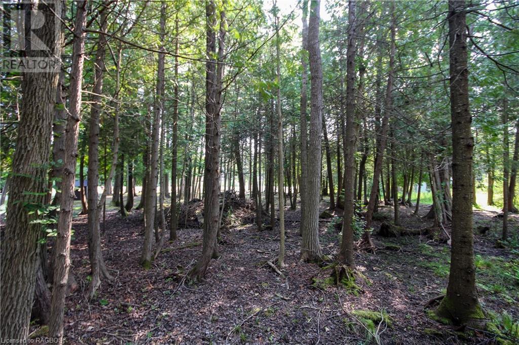 For sale 18 MURRAY Avenue, Stokes Bay, Ontario N0H1W0 40455021