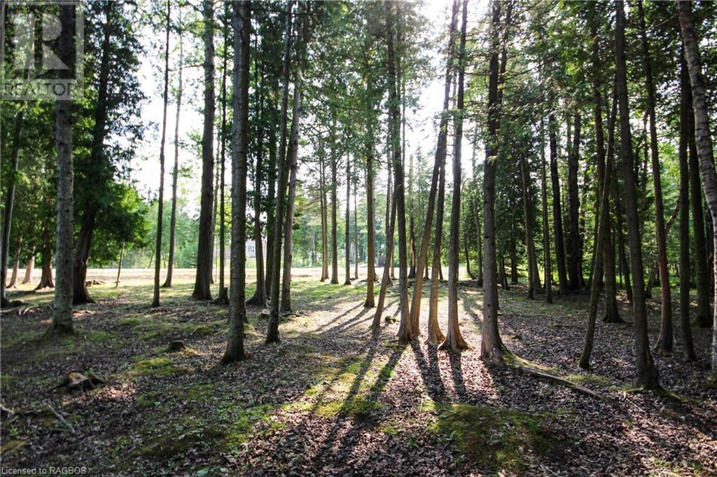 For sale 18 MURRAY Avenue, Stokes Bay, Ontario N0H1W0 40455021