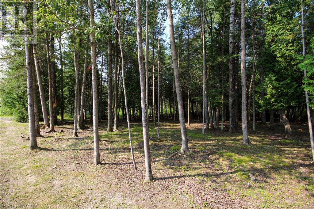 For sale 18 MURRAY Avenue, Stokes Bay, Ontario N0H1W0 40455021