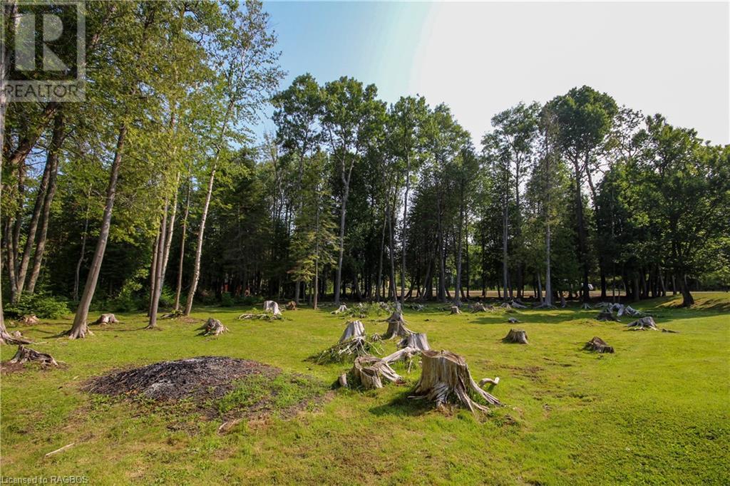 For sale 14 MURRAY Avenue, Stokes Bay, Ontario N0H1W0 40455016