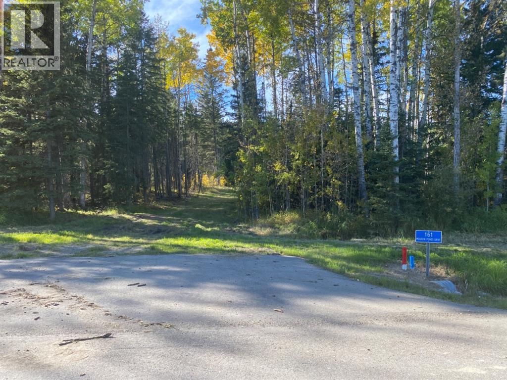 For sale 161 Meadow Ponds Drive, Rural Clearwater County, Alberta