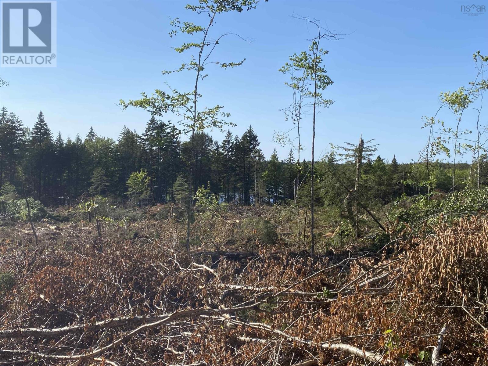 For sale Lot Bull Lake Road, Concession, Nova Scotia B0W1M0