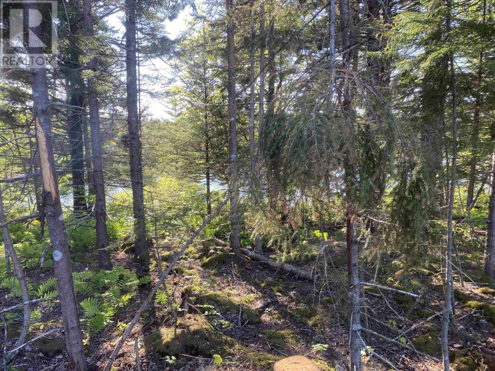 For sale Lot Bull Lake Road, Concession, Nova Scotia B0W1M0