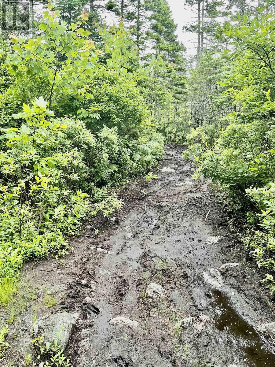 For sale F1 Brennan Road, Prospect Bay, Nova Scotia B3T2A3 202316132