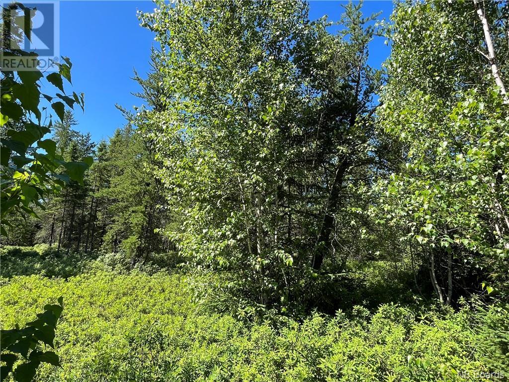 For sale +/ 6.5 acres Rte 126, Collette, New Brunswick E4Y2T4