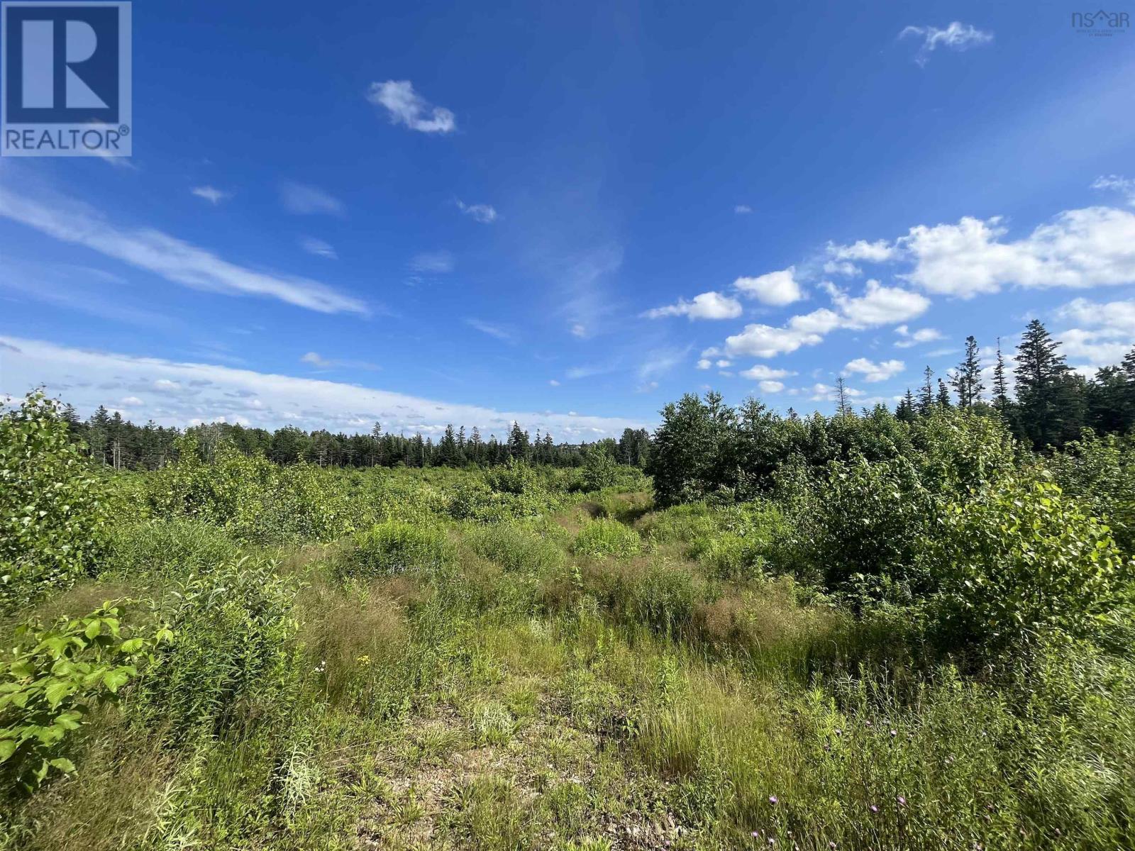 For sale Lot Prospect Road, Casey Corner, Nova Scotia B4N3V8