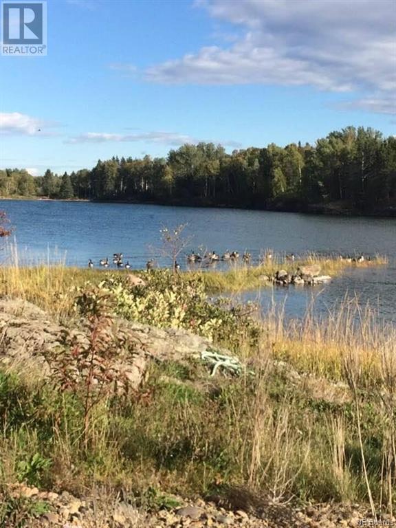 For sale lot Benjamin River Mouth Road, Benjamin River, New Brunswick