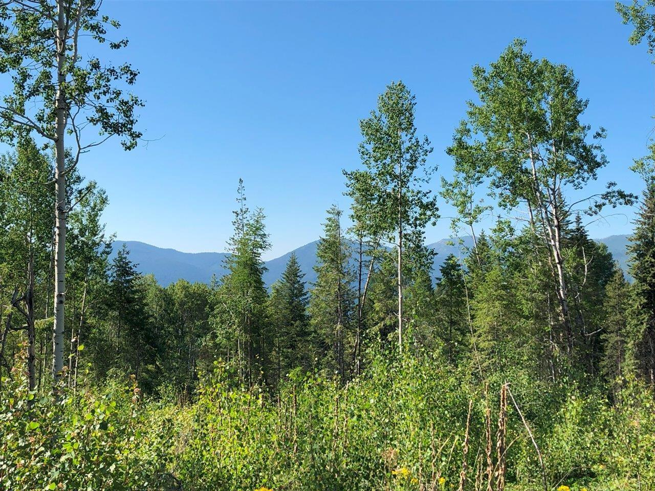 For sale 1827S MORRISSEY CREEK RD, Grand Forks, British Columbia