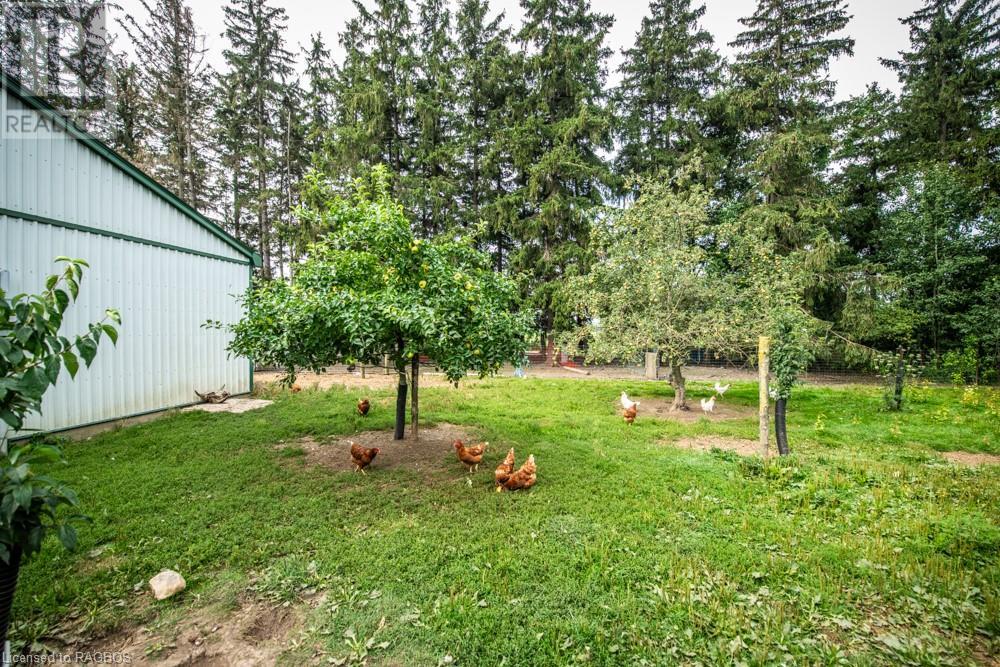 For sale 6967 ROAD 173, Atwood, Ontario N0G1B0 40464650 REALTOR.ca