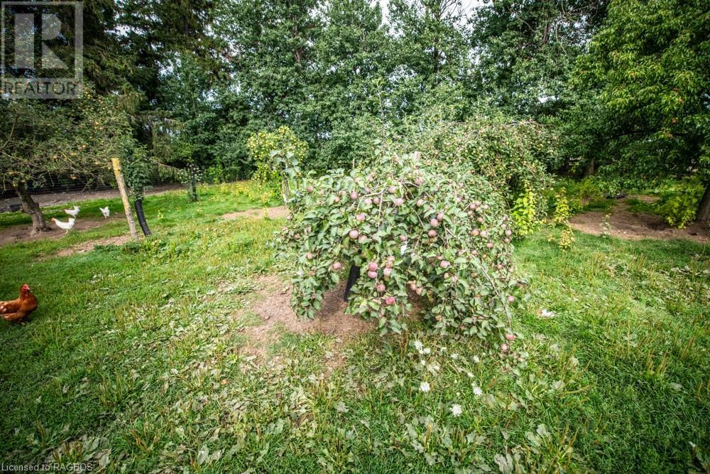 For sale 6967 ROAD 173, Atwood, Ontario N0G1B0 40464650 REALTOR.ca