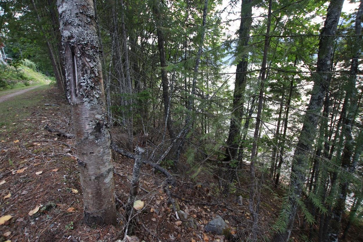 For Sale: 5621 HIGHWAY 23, Nakusp, British Columbia V0G1R1 - 2472858 ...