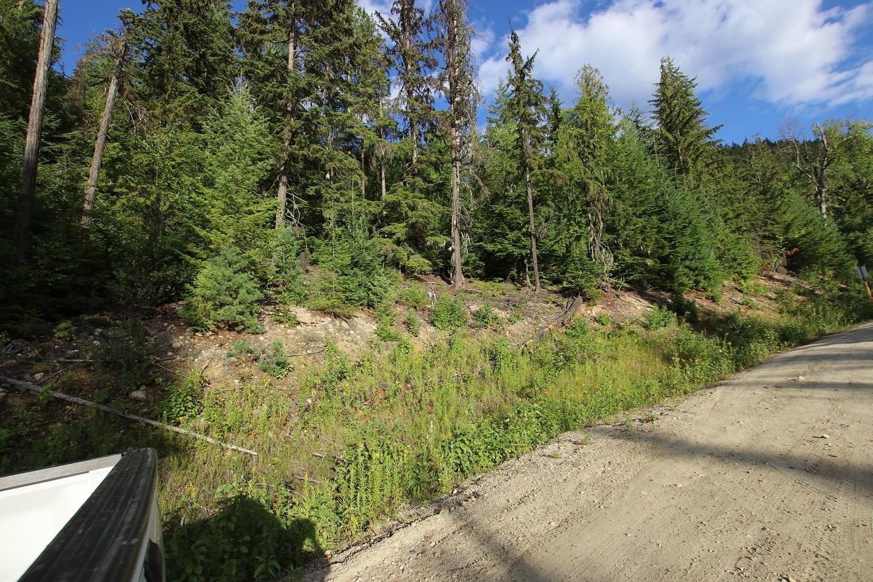 For sale 5621 HIGHWAY 23, Nakusp, British Columbia V0G1R1 2472858