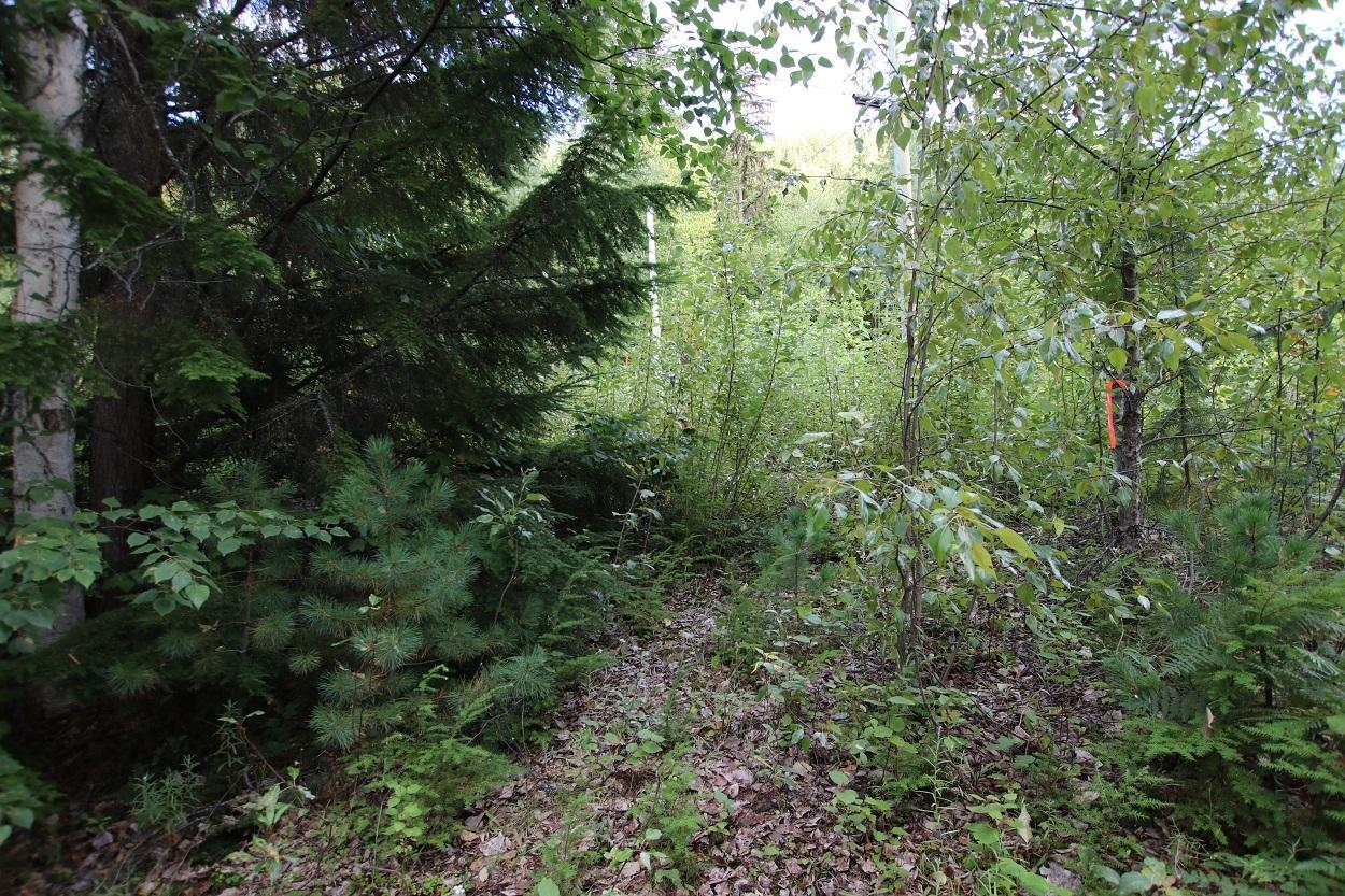 For sale 5621 HIGHWAY 23, Nakusp, British Columbia V0G1R1 2472858