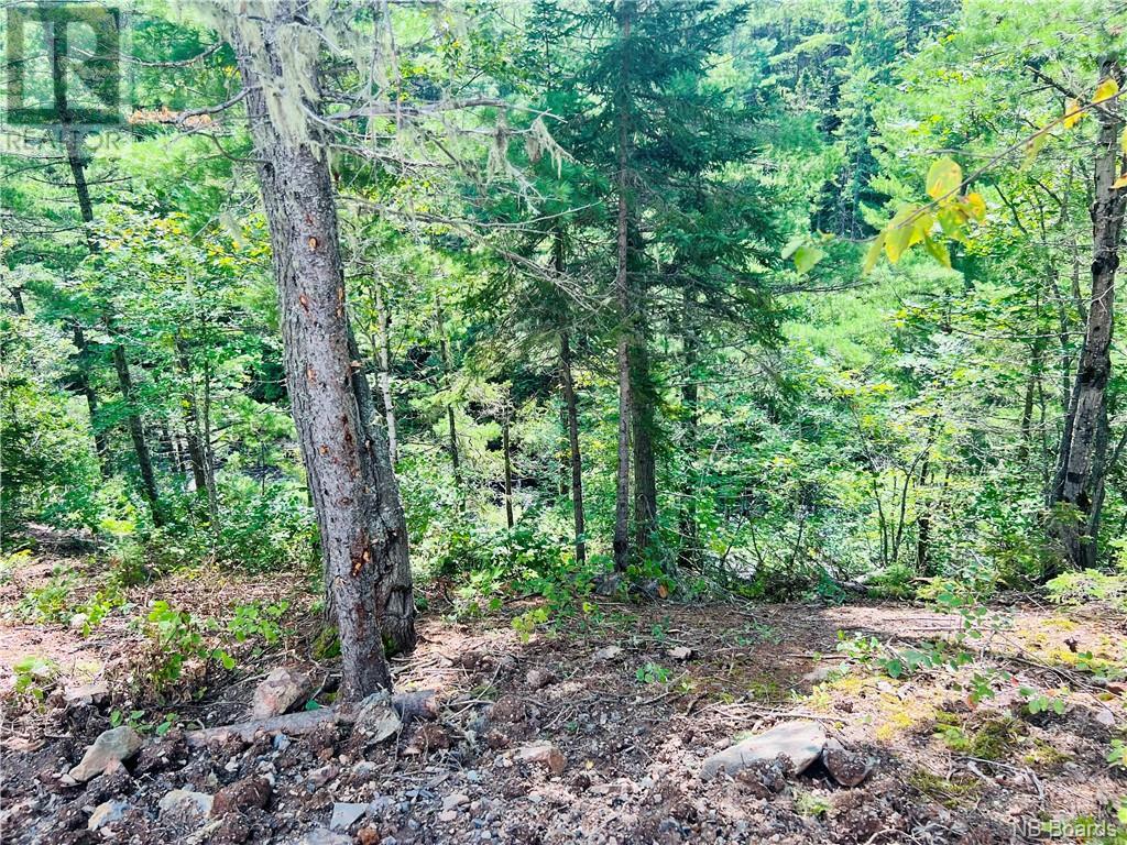 For sale Milton Brae, North Tetagouche, New Brunswick E2A4Y8