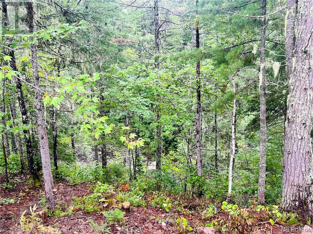 For sale Milton Brae, North Tetagouche, New Brunswick E2A4Y8