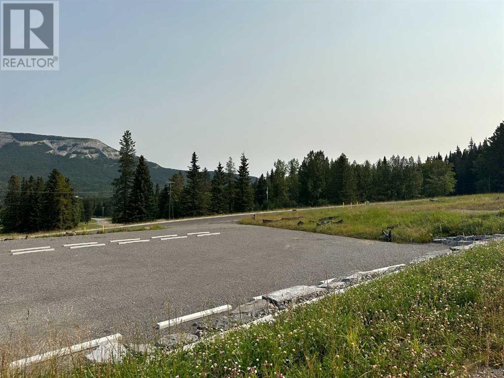 For sale 117 Centre Street, Nordegg, Alberta T0M0H0 A2076070