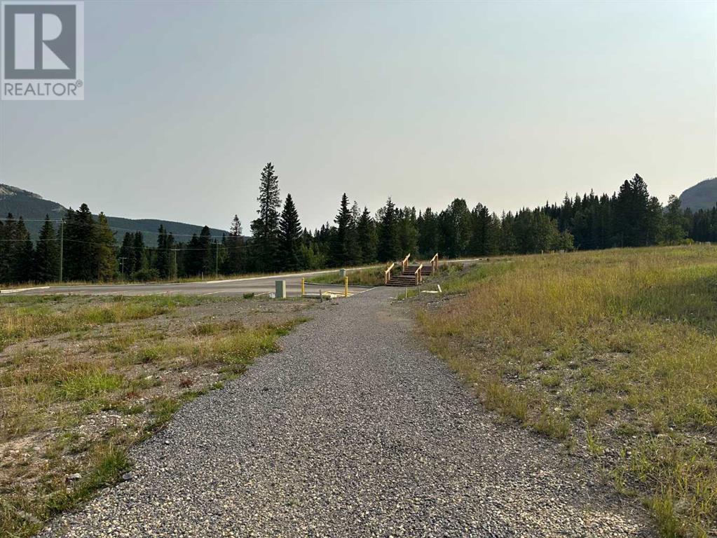 For sale 117 Centre Street, Nordegg, Alberta T0M0H0 A2076070