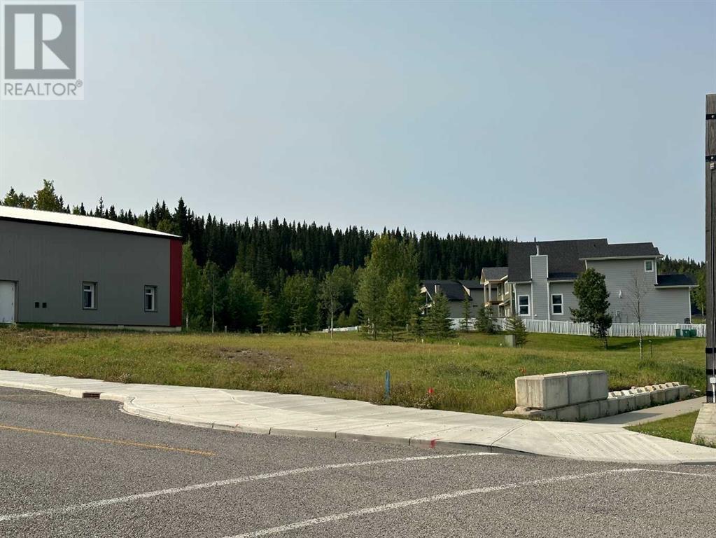 For sale 117 Centre Street, Nordegg, Alberta T0M0H0 A2076070