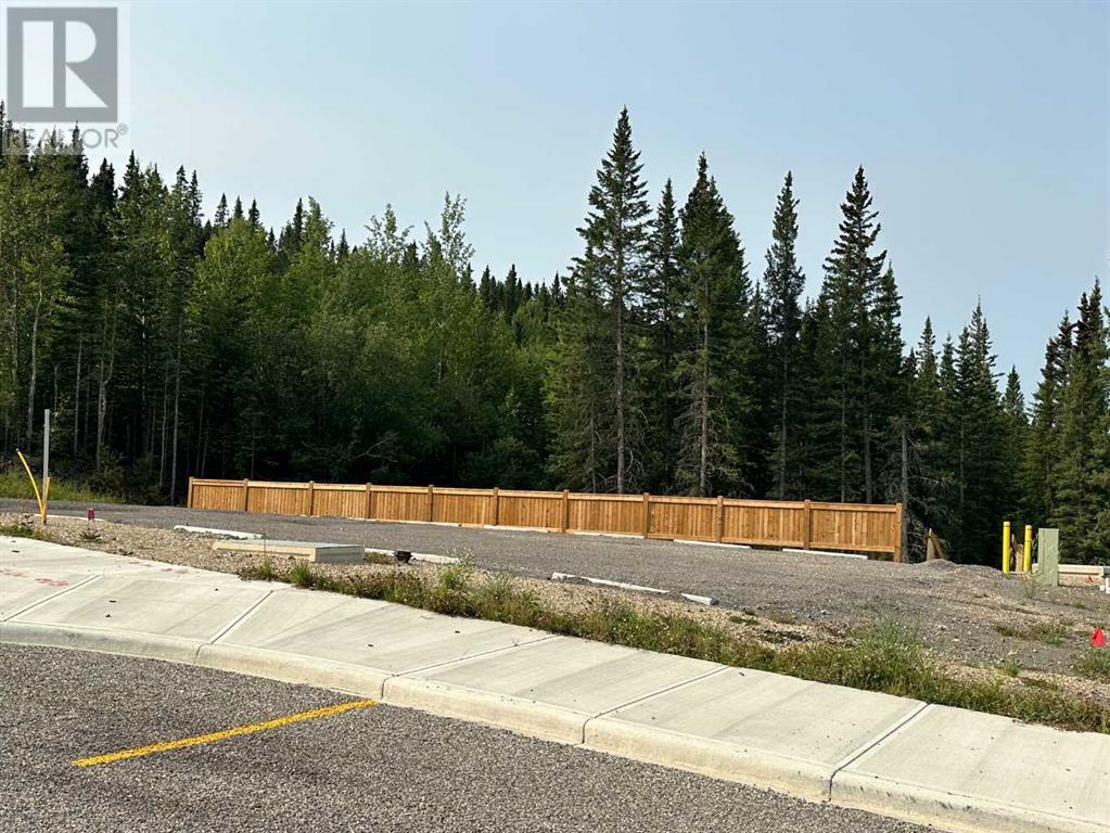 For sale 124 Centre Street, Nordegg, Alberta T0M0H0 A2076087