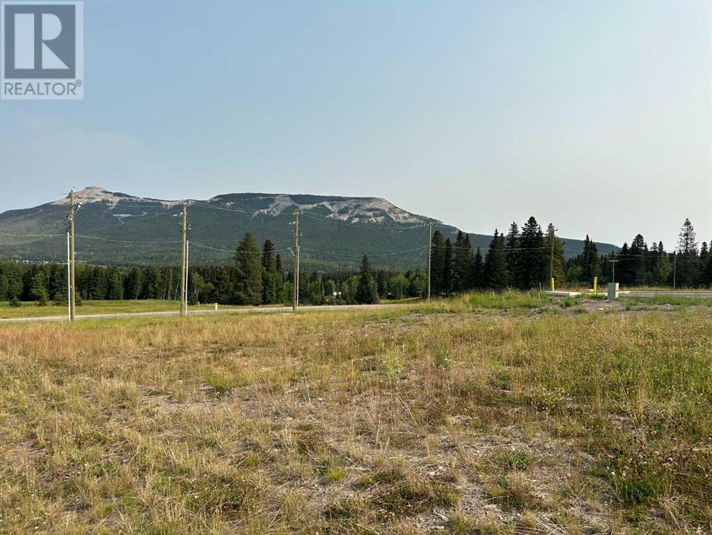 For sale 112 Centre Street, Nordegg, Alberta T0M0H0 A2076094