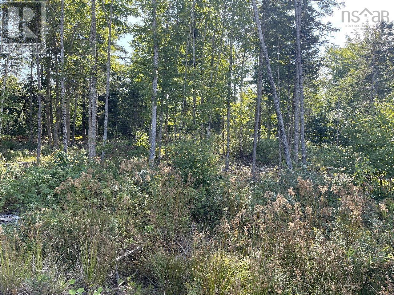 For sale lot 831 Sibley Road, Middle Musquodoboit, Nova Scotia B0N1X0
