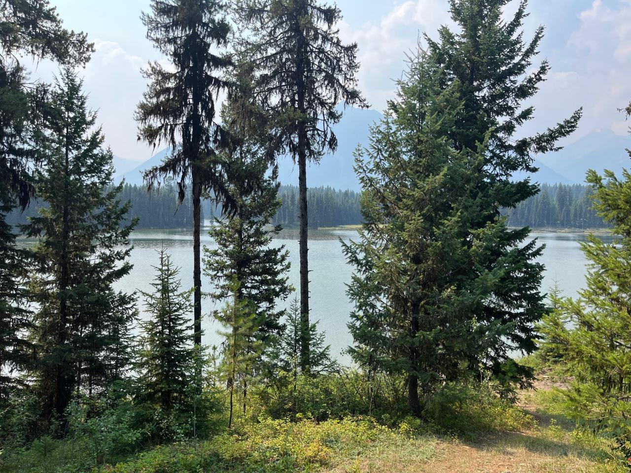 For sale Km 44 WESTSIDE ROAD, Brisco, British Columbia V0A1B0