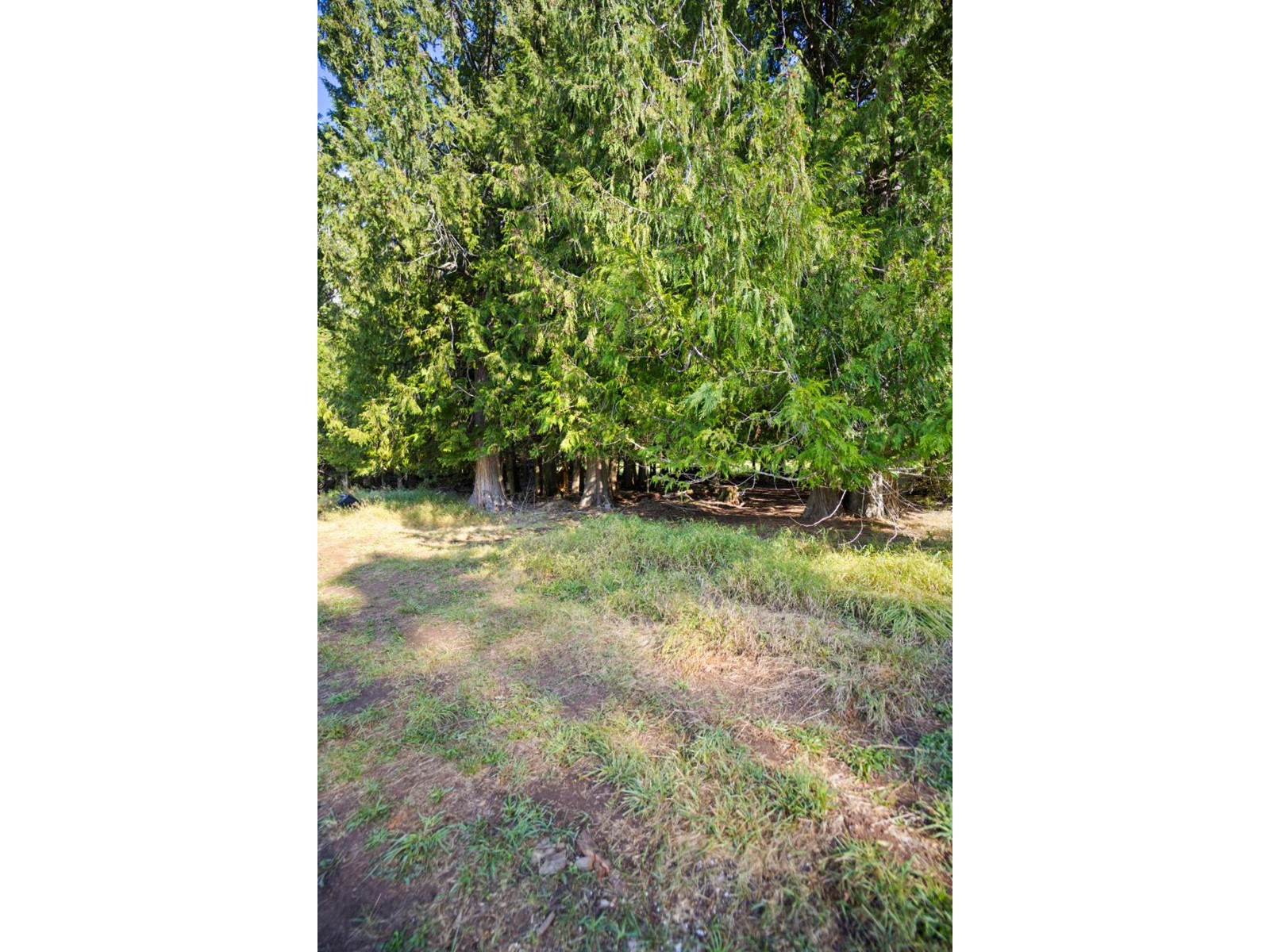 For sale 16465 WADDS ROAD, Crawford Bay, British Columbia V0B1E0 2472922 REALTOR.ca