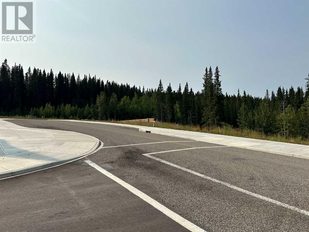 For sale 108 Centre Street, Nordegg, Alberta T0M0H0 A2076059