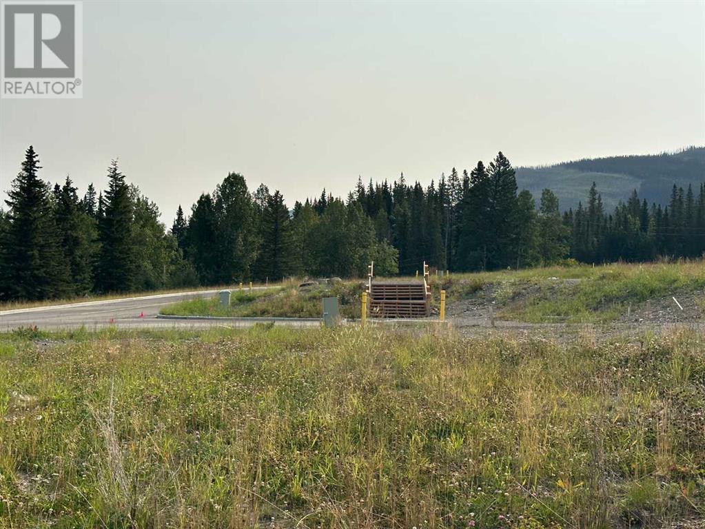 For sale 108 Centre Street, Nordegg, Alberta T0M0H0 A2076059