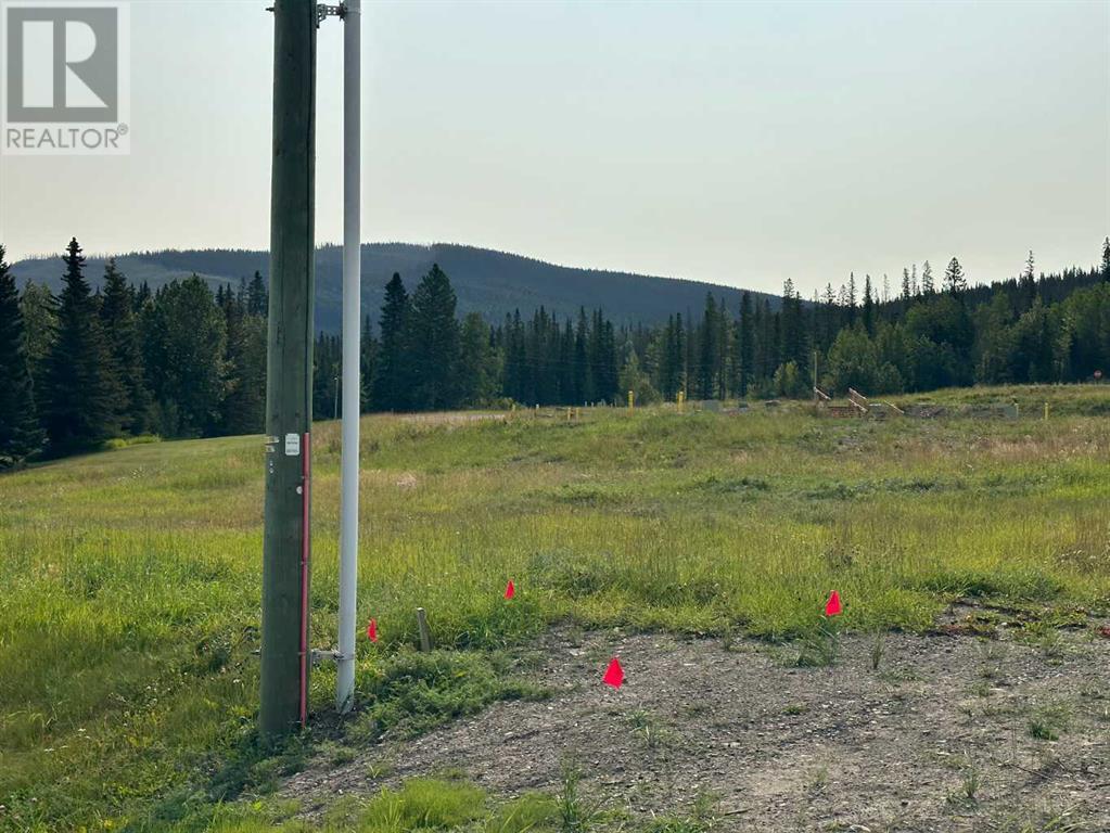 For sale 108 Centre Street, Nordegg, Alberta T0M0H0 A2076059